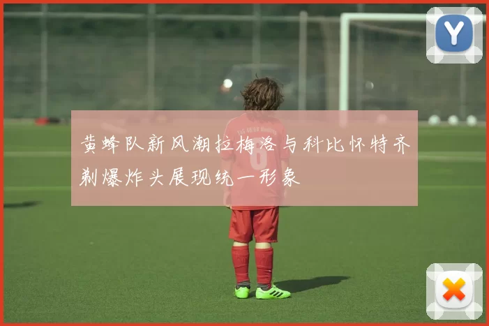 黄蜂队新风潮拉梅洛与科比怀特齐剃爆炸头展现统一形象